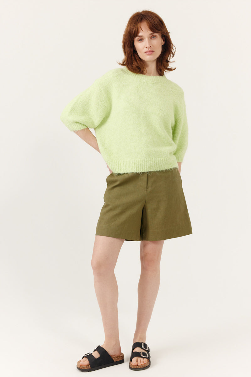 PULL FERINIA